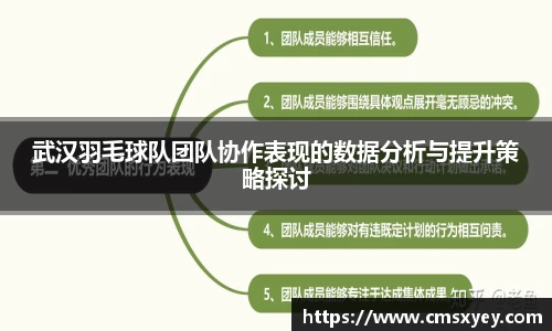 武汉羽毛球队团队协作表现的数据分析与提升策略探讨