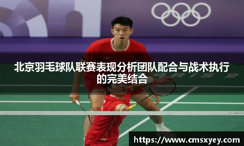 北京羽毛球队联赛表现分析团队配合与战术执行的完美结合