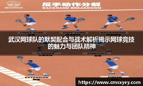 武汉网球队的默契配合与战术解析揭示网球竞技的魅力与团队精神