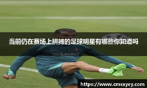 AG旗舰厅官网