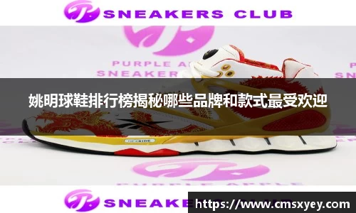 姚明球鞋排行榜揭秘哪些品牌和款式最受欢迎